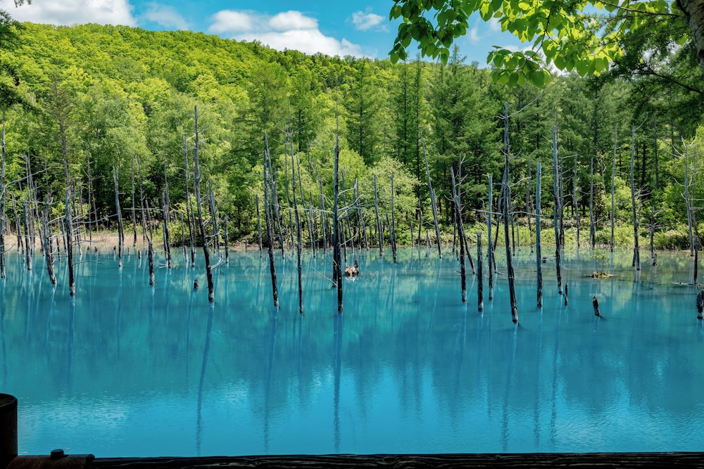 ノゾホテル 札幌