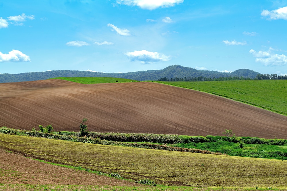 ノゾホテル 札幌