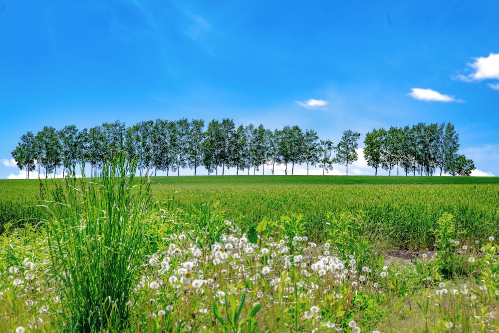 ノゾホテル 札幌
