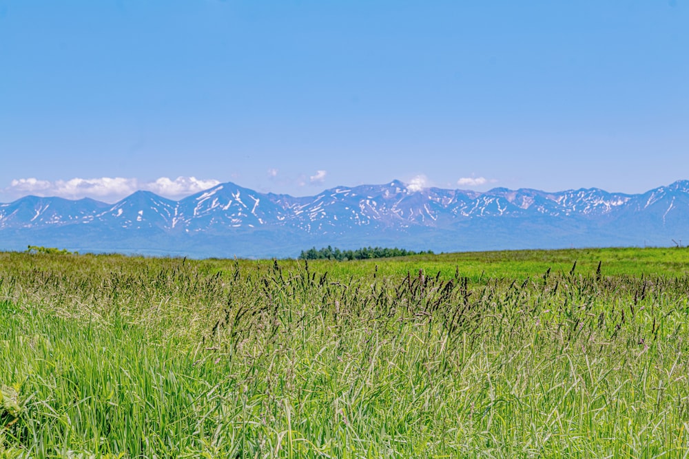 ノゾホテル 札幌