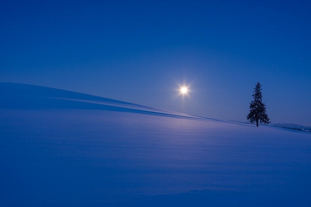 ノゾホテル 札幌