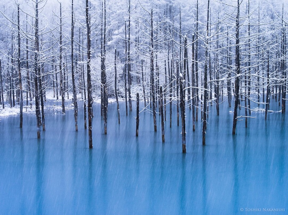 ノゾホテル 札幌