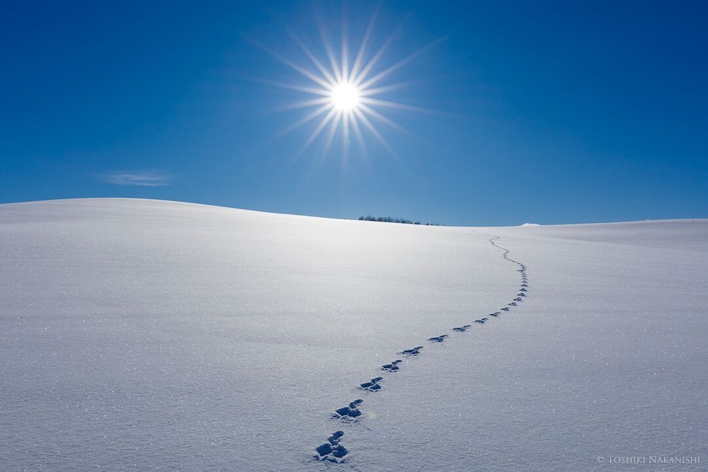 ノゾホテル 札幌