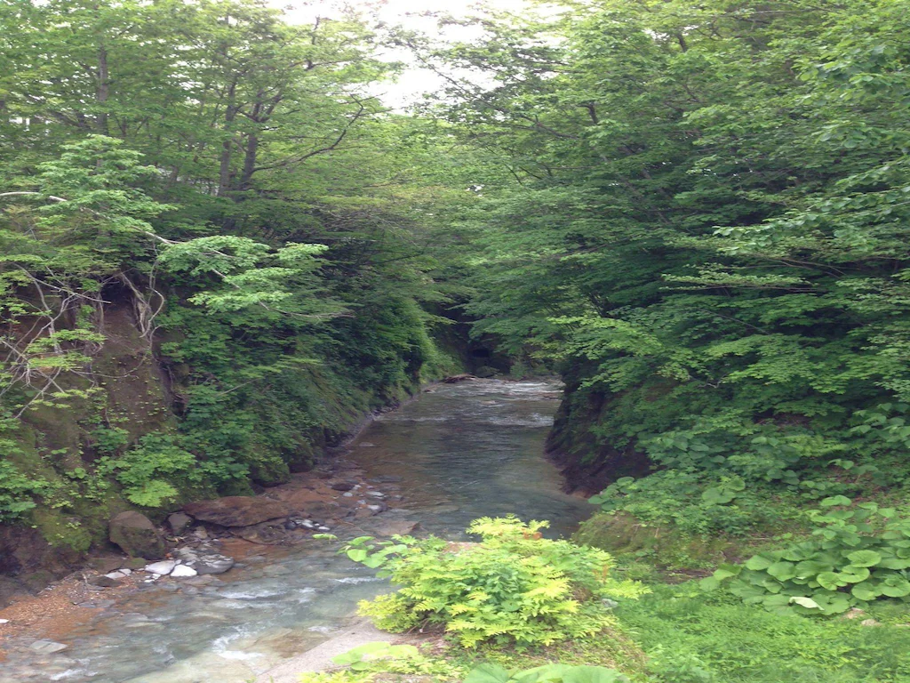 登別カルルス温泉 湯元オロフレ荘 札幌