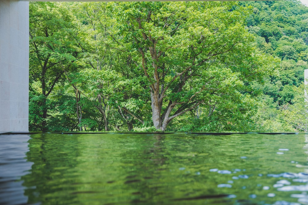 グランドブリッセンホテル定山渓 札幌