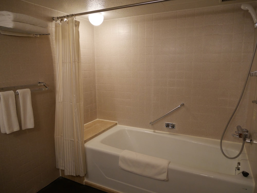 ANAクラウンプラザホテル福岡 バイ IHG 福岡