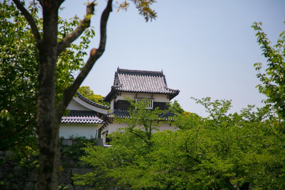 平和台 ホテル 荒戸 福岡
