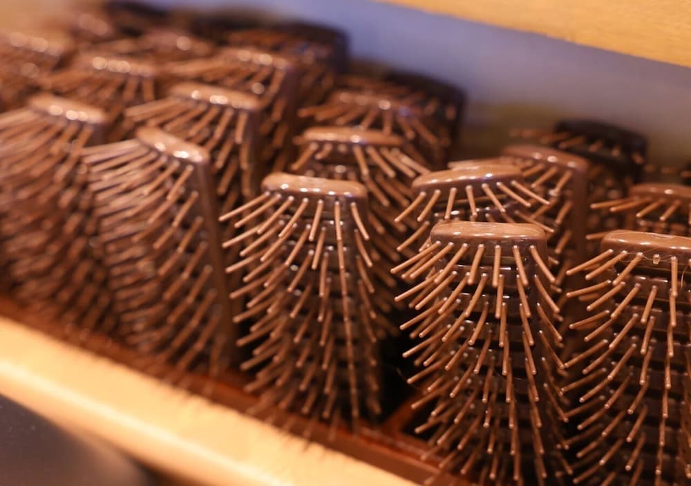 袖湊の湯　ドーミーインＰＲＥＭＩＵＭ博多・キャナルシティ前 福岡