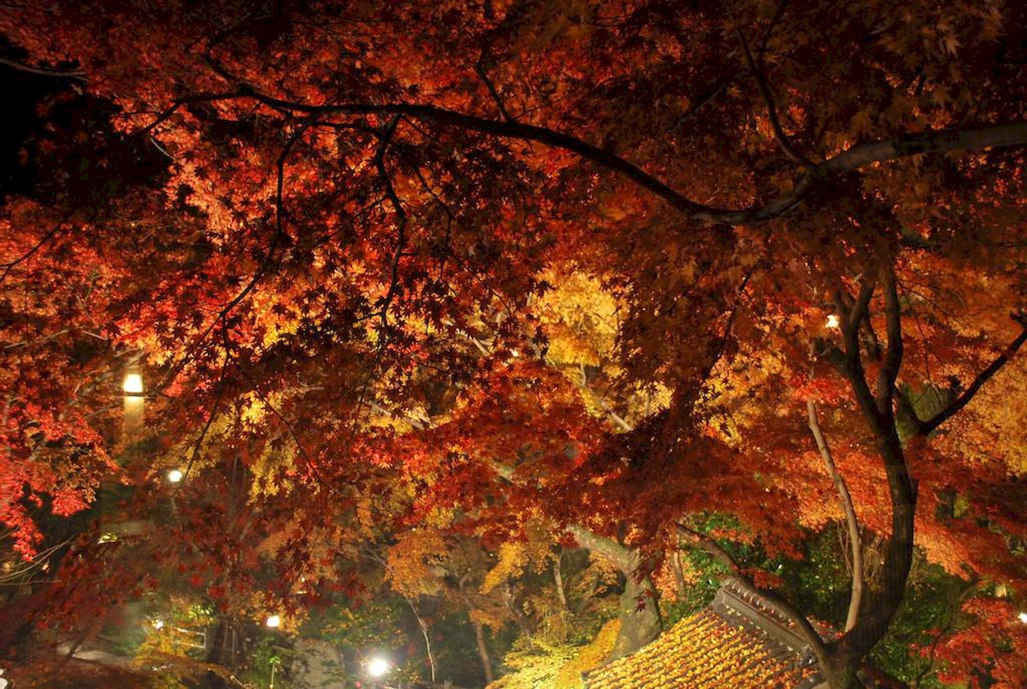 秋月温泉 料亭旅館 清流庵 福岡