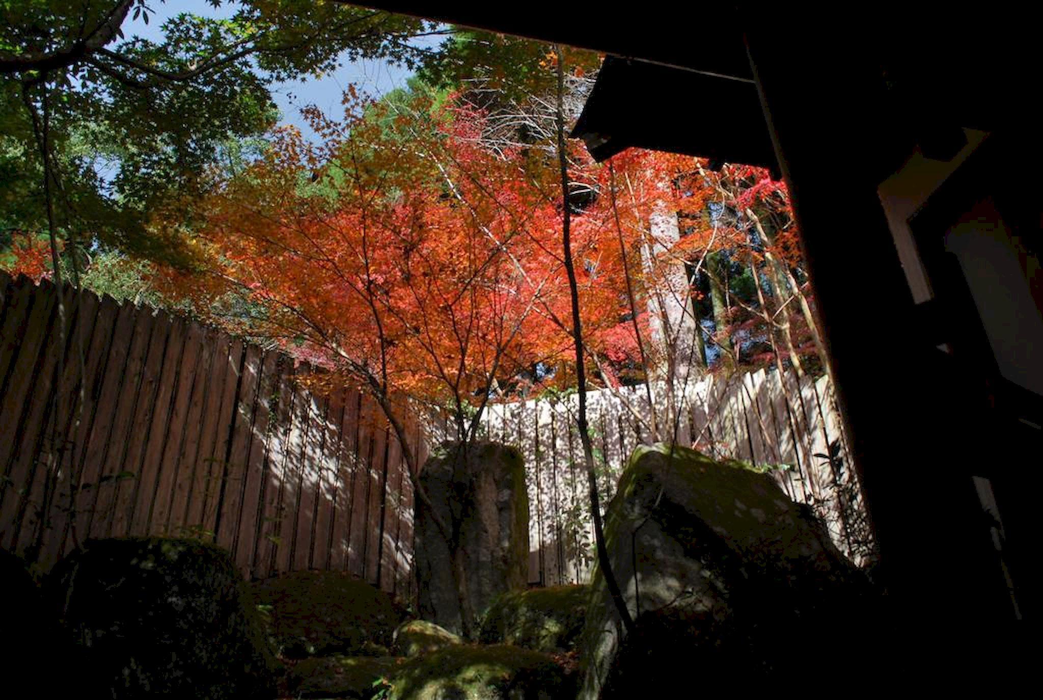 秋月温泉 料亭旅館 清流庵 福岡