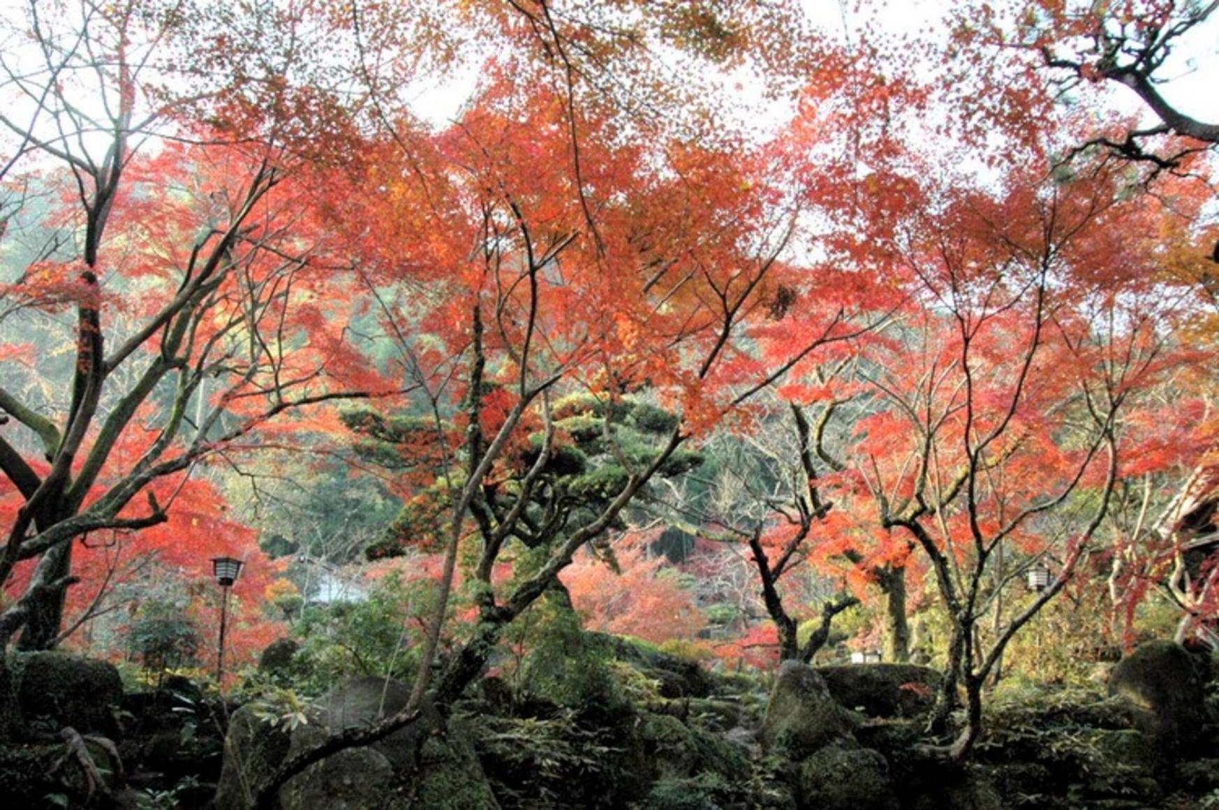 秋月温泉　料亭旅館　清流庵 福岡
