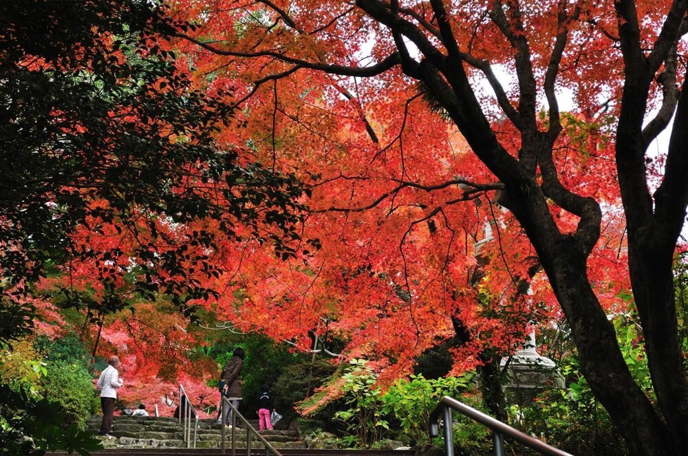 ホテルフラトン福岡博多 福岡