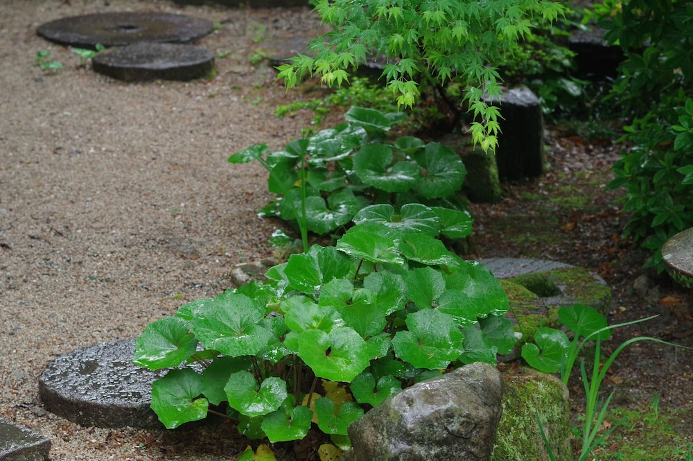 御花 福岡