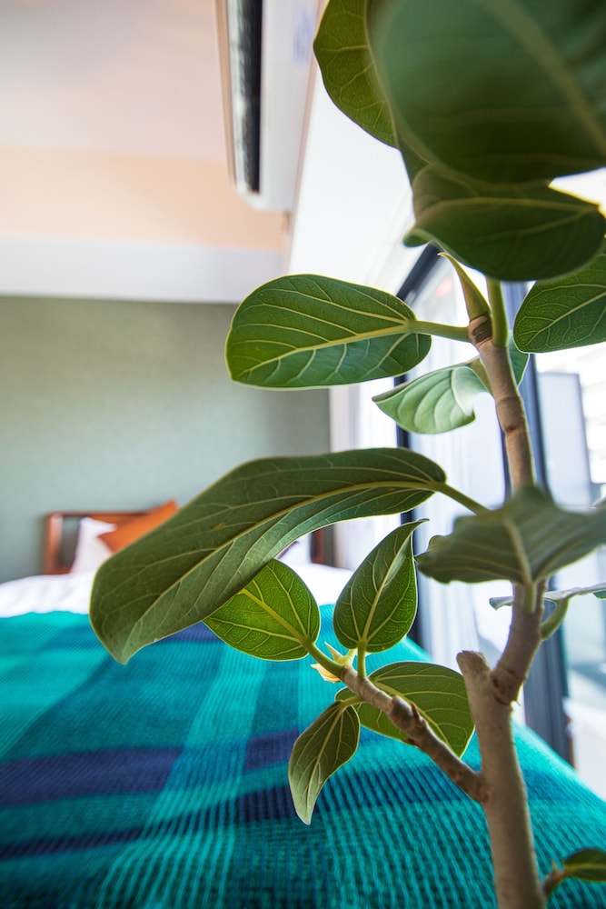 RIVIERE CHAMP HOTEL & RESIDENCE 福岡