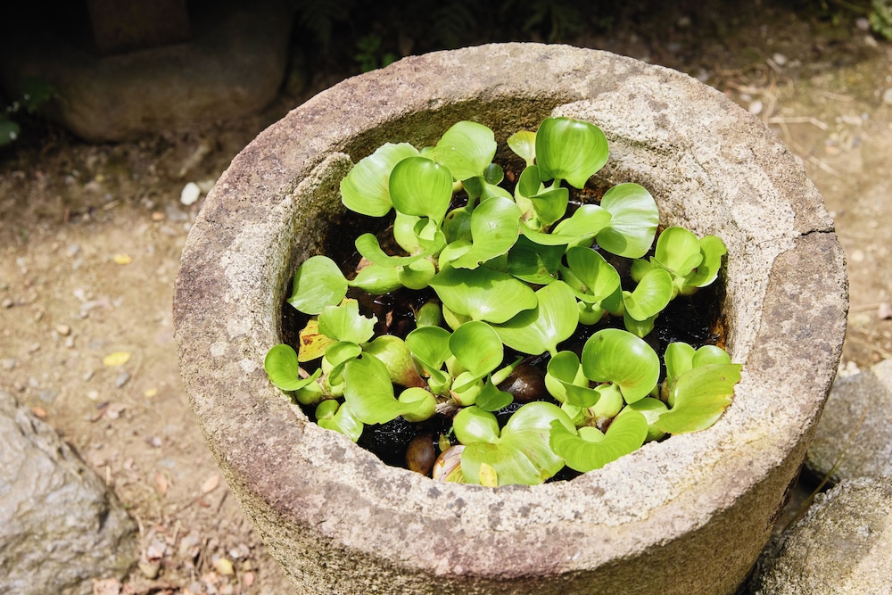 筑後吉井 町家宿 以久波 福岡