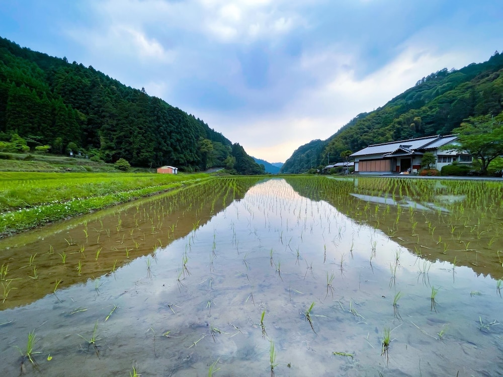 うきは 小塩の灯り 福岡