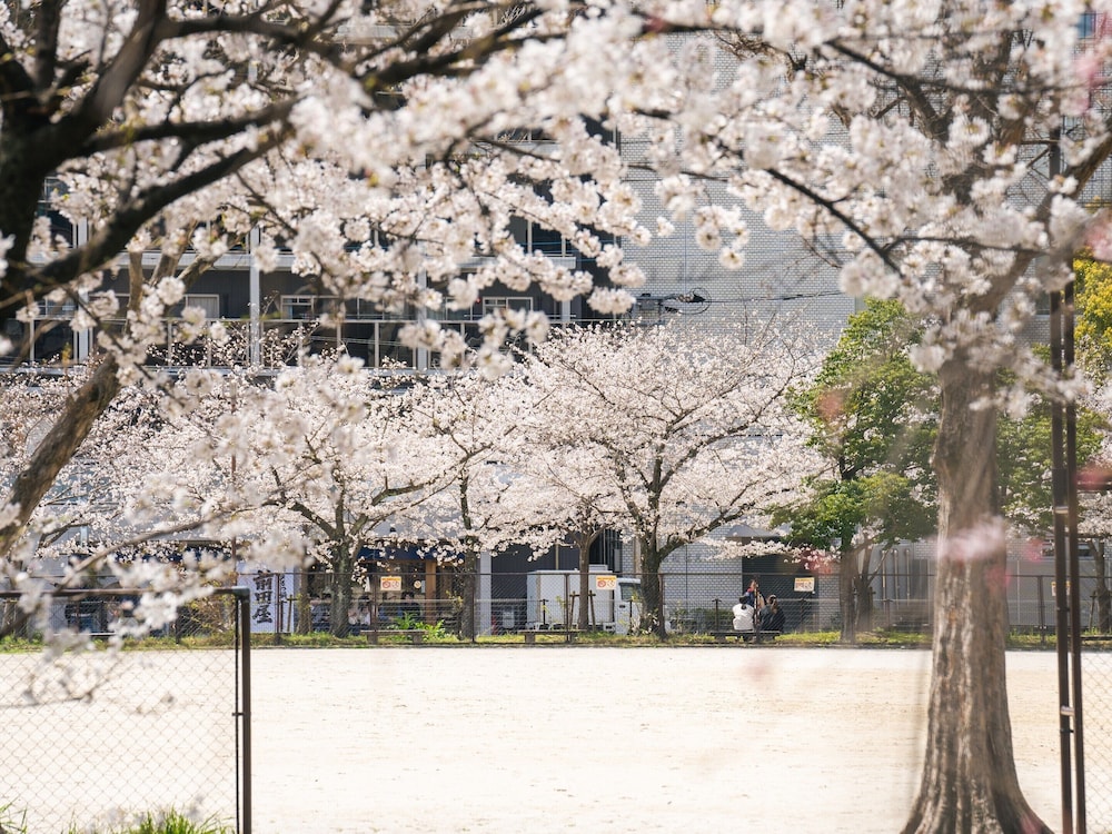 THE BASICS FUKUOKA 福岡