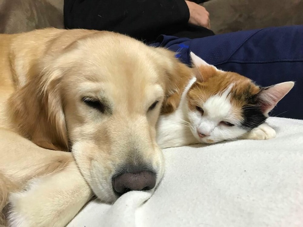 TOM AND RIMI'S 那覇