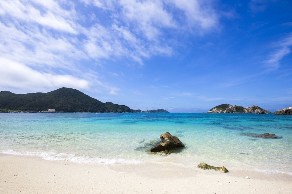 カメカメハウス 那覇