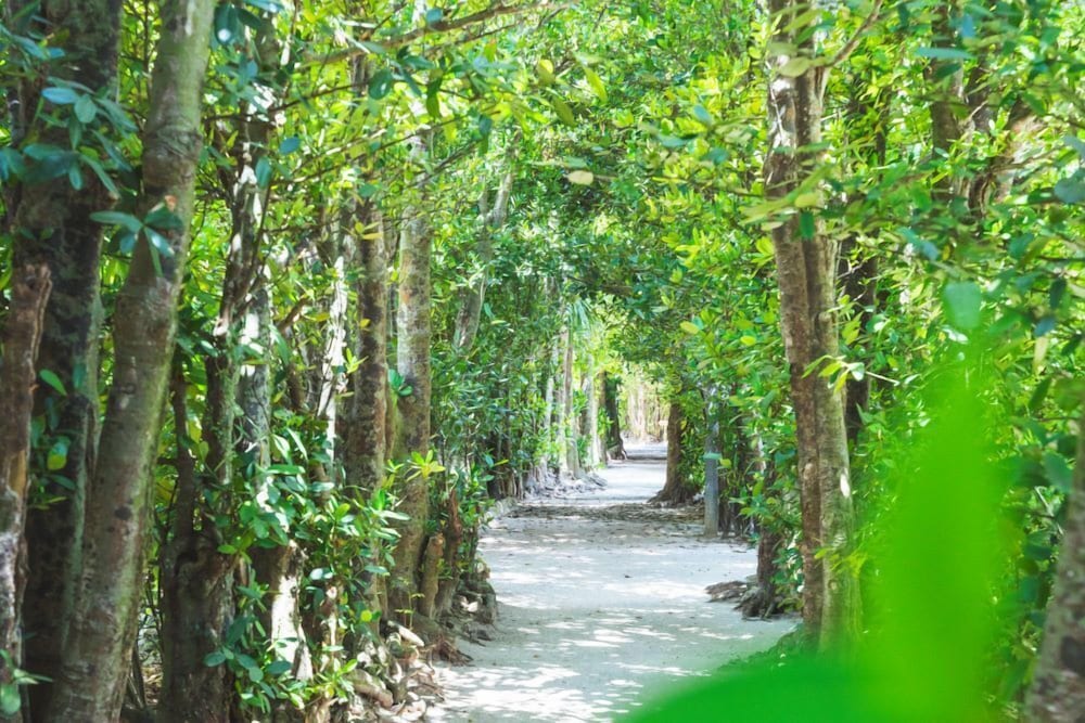 ヒルトン沖縄瀬底リゾート 那覇