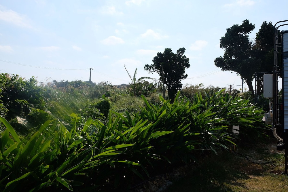 NATURAL FARM ZAMPA 那覇