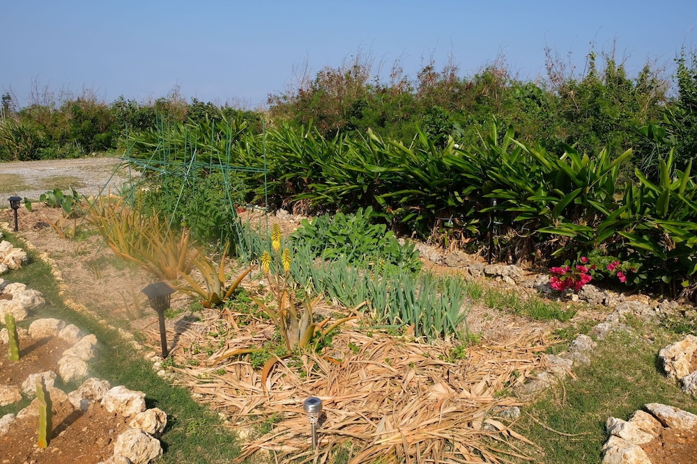 NATURAL FARM ZAMPA 那覇