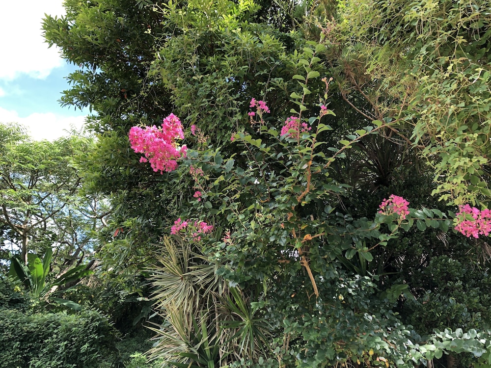 ペンション 天夢森 那覇