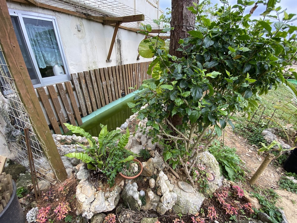 BEACH LODGE 2 & PRIVATE BEACH 那覇