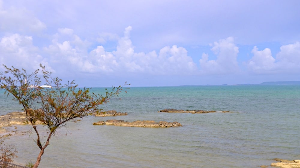 SEA YOU SOON 那覇