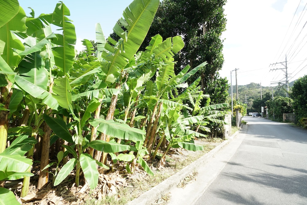 SUITE VILLA MOK 那覇