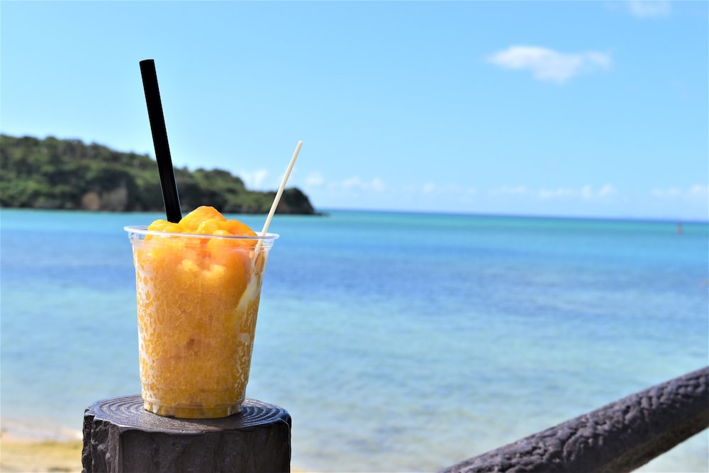 VILLA KAFUSHI NAKIJIN 那覇