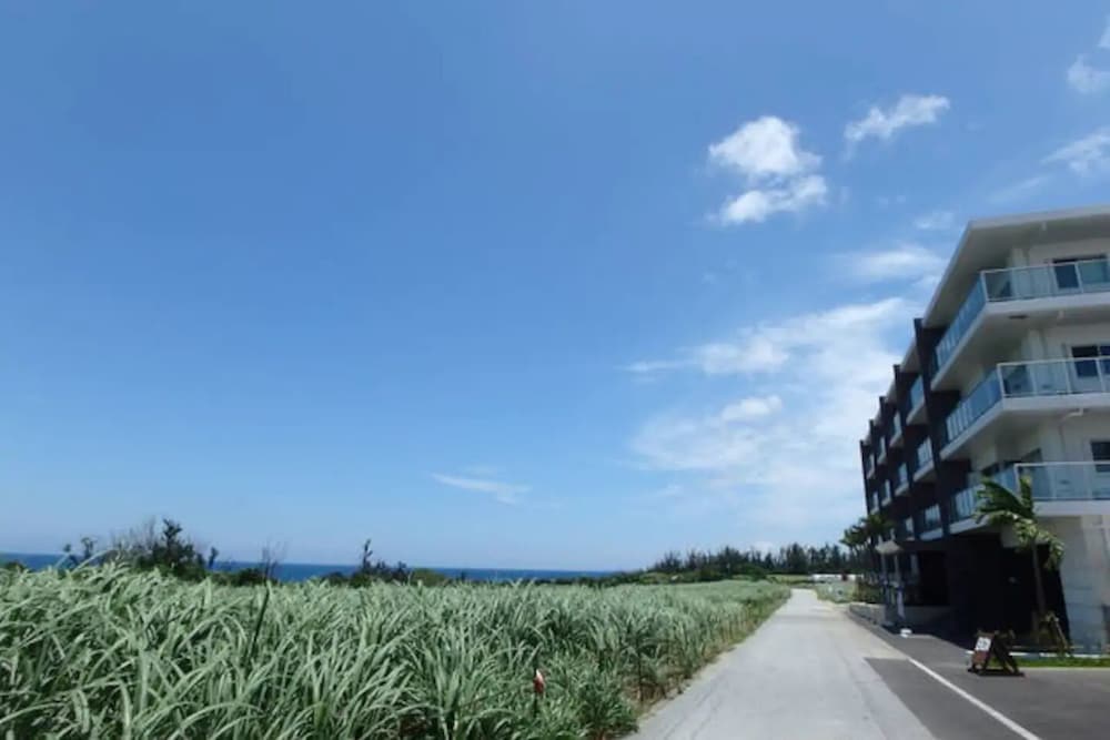 LONGVACATION OKINAWA 307 那覇