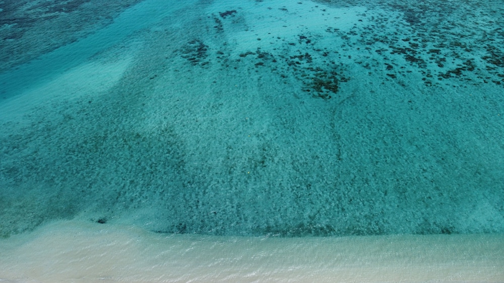 民宿 ロビンソン 那覇