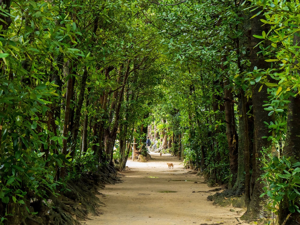 ADAN RESORT 縁 那覇