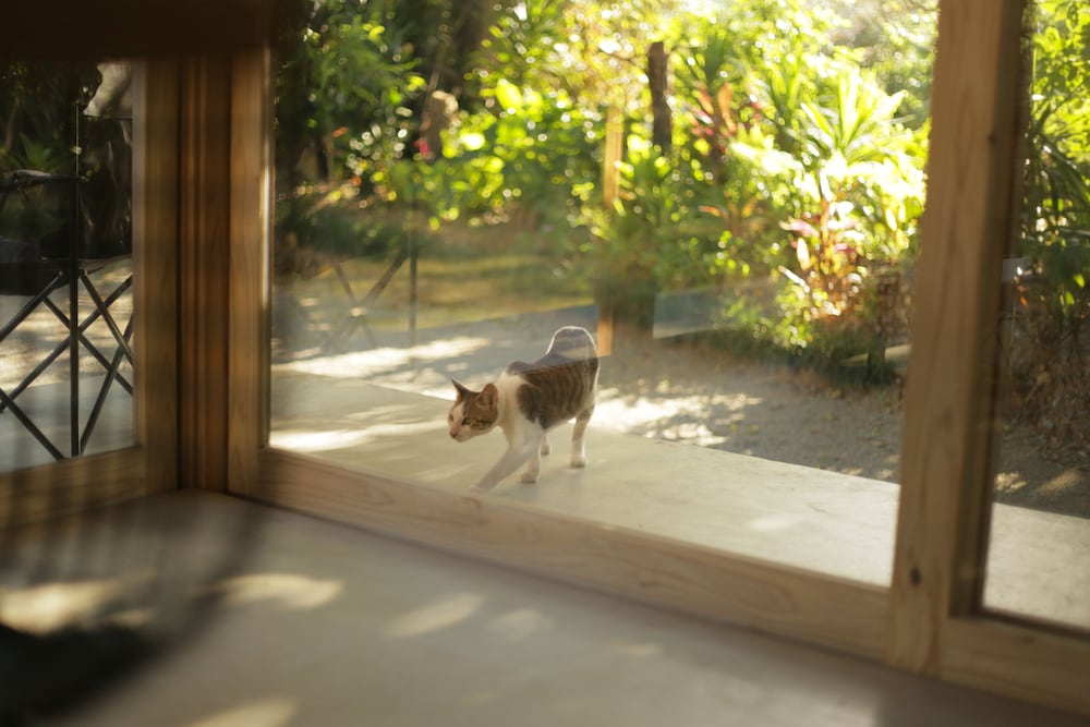 SHINMINKA VILLA GUSHIKEN 那覇