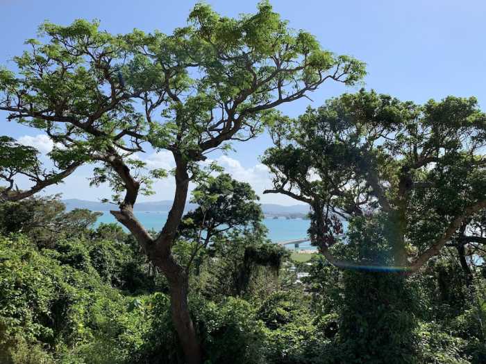 VILLA LEILANI 那覇