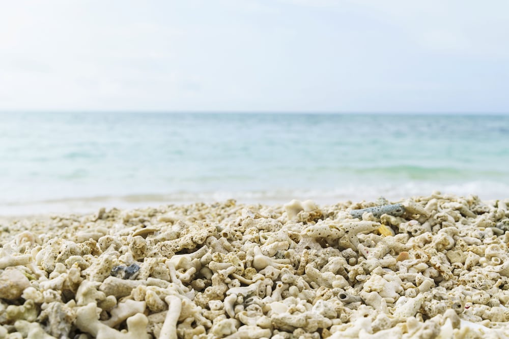 ベアーズステイ久米島イーフビーチ 那覇