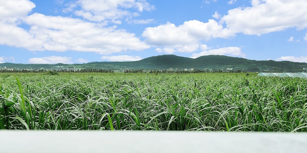 ベアーズステイ久米島イーフビーチ 那覇