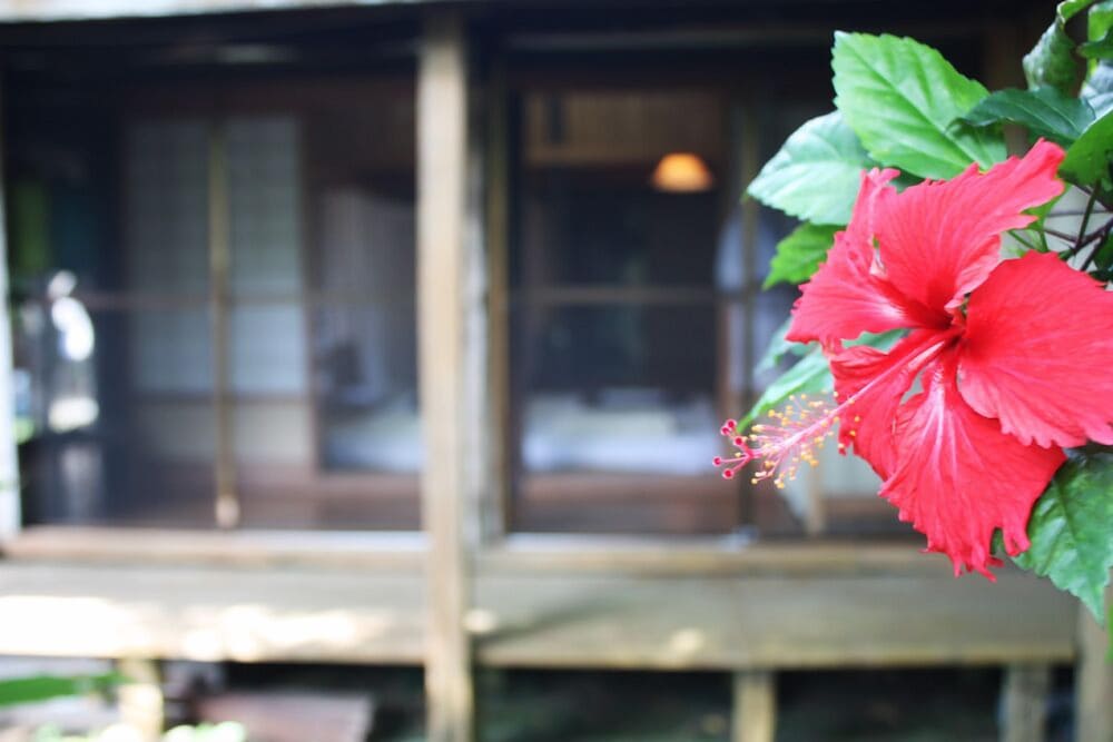 古民家 ゆうみはうす 那覇