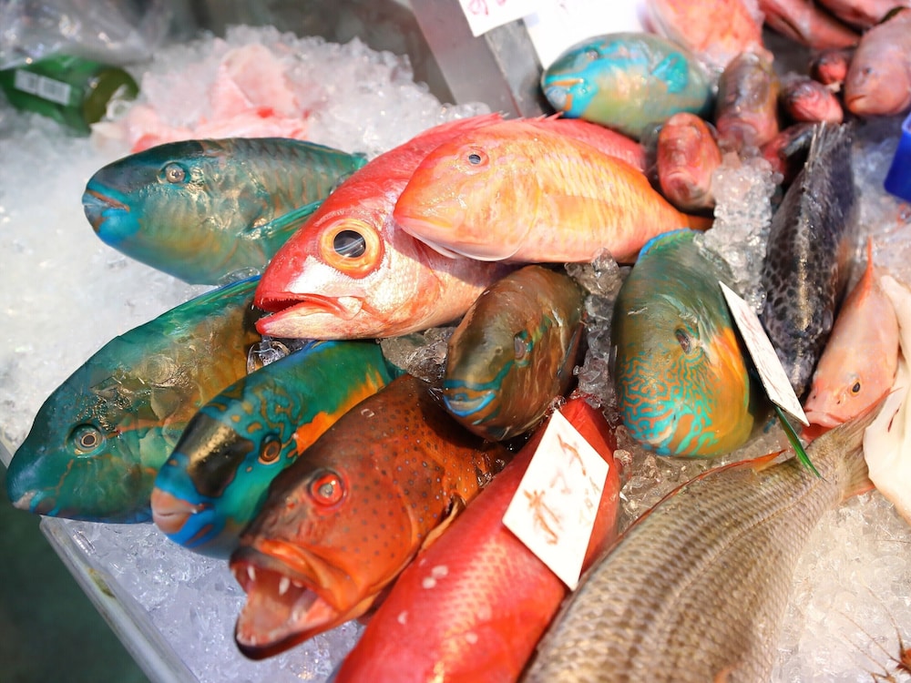 畳の宿 那覇壺屋 BY コルディオプレミアム 那覇