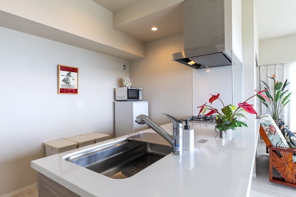 THE OCEAN VIEW CONDOMINIUM MOTOBU 那覇
