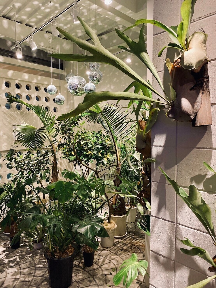 レステル那覇 那覇