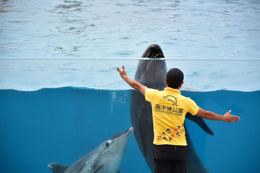 ホテル カクテルステイナハ 那覇