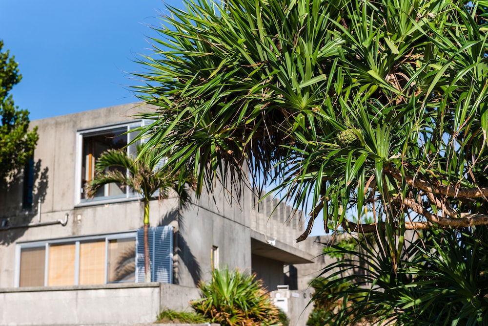 PINE HOUSE IN GINOZA 那覇