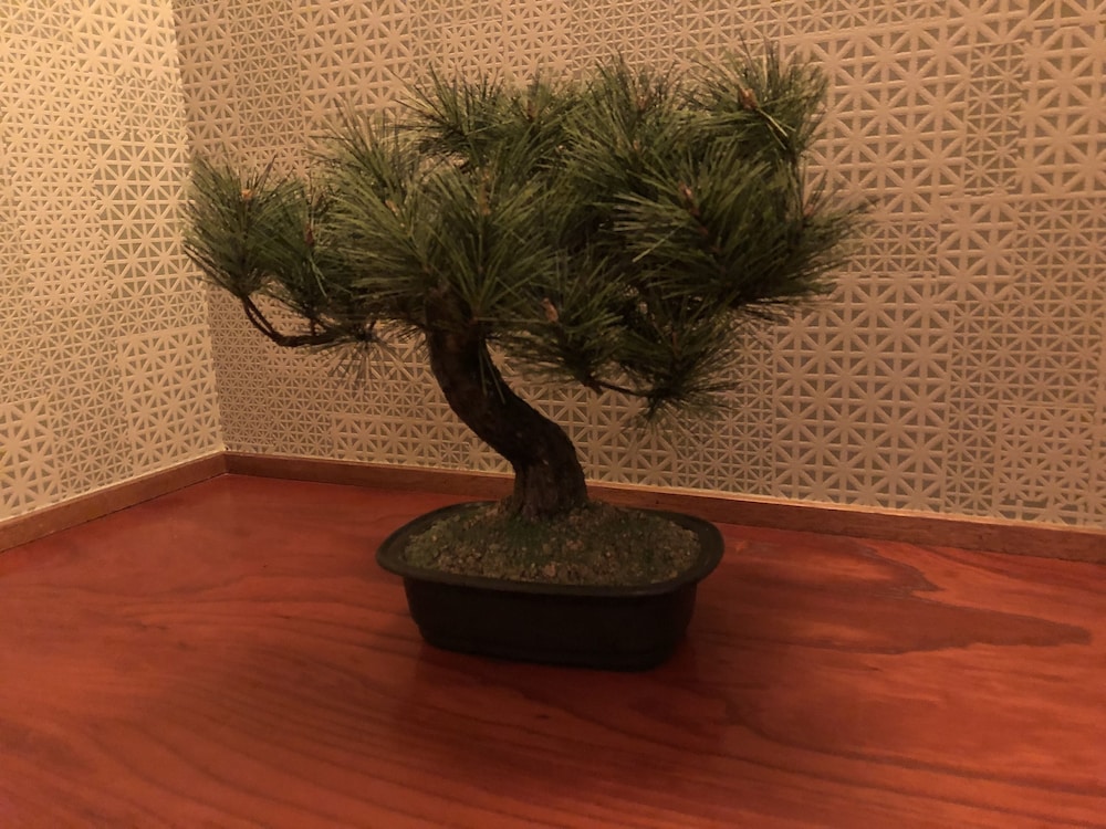 サンチャゴゲストハウス那覇 那覇