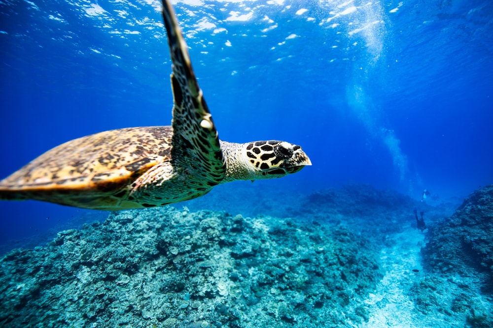 サンメール座間味 那覇