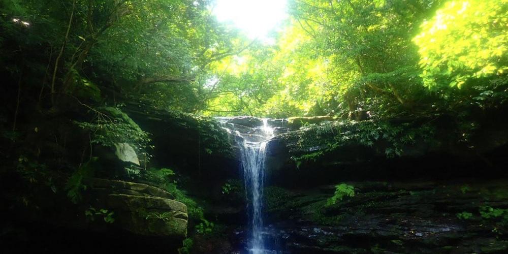 杜屋西表島ホテル 那覇