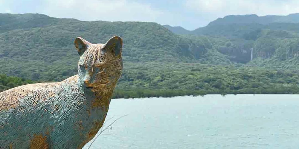 杜屋西表島ホテル 那覇