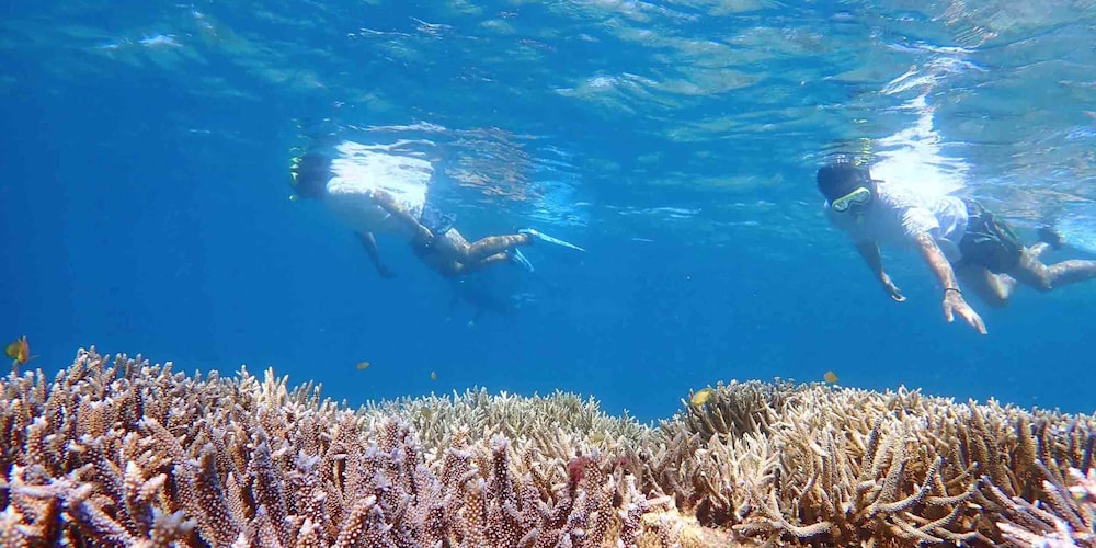 杜屋西表島ホテル 那覇
