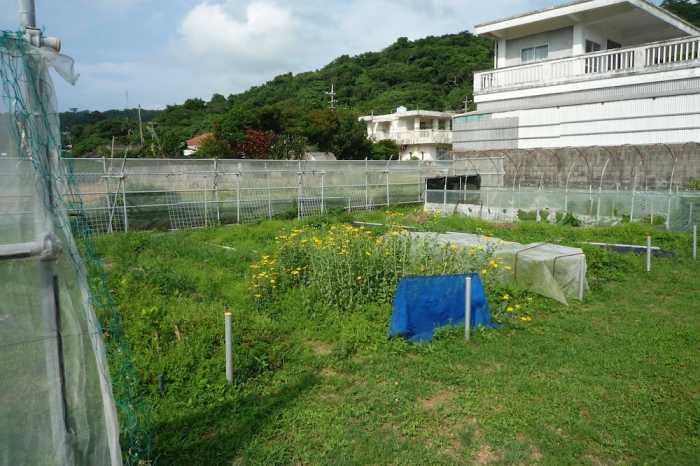 あやの荘 那覇
